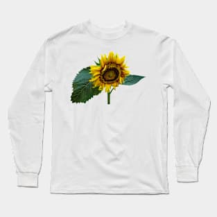 Sunflower Glancing Down Long Sleeve T-Shirt